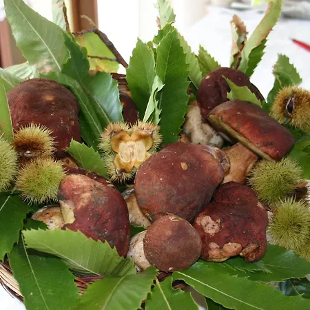 Simonello Casa rural *