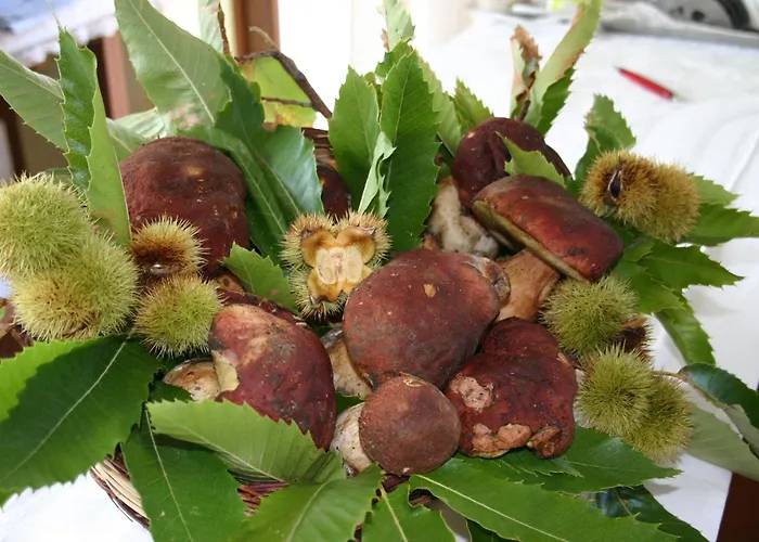 Simonello 乡村民宿 *